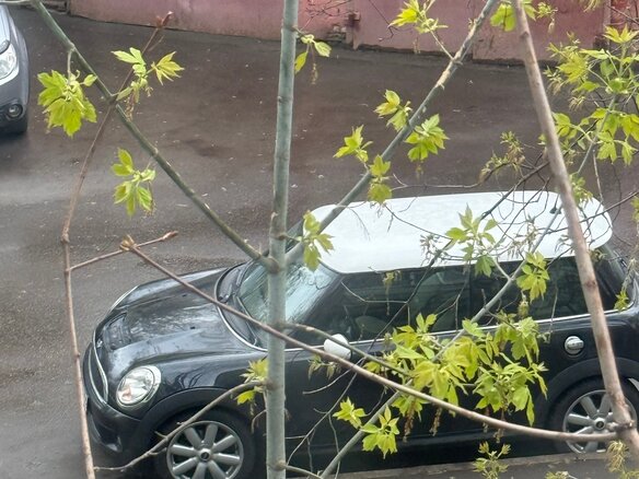 2008 Mini Hatch Cooper S II (R56), чёрный - вид 10