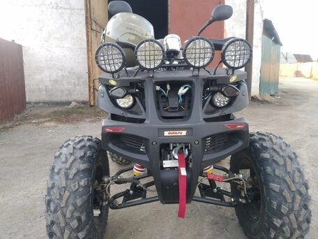 2021 Tiger Max Grade 300, чёрный, 210000 рублей, вид 1