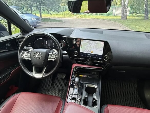 2022 Lexus NX 250 II, серый - вид 6