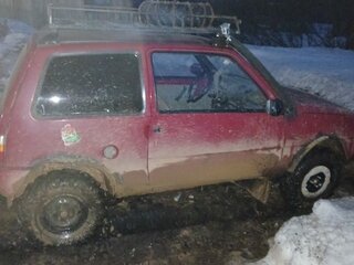2001 Lada (ВАЗ) 1111 Ока СеАЗ, пурпурный, 100000 рублей, вид 4