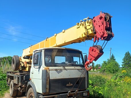 1986 МАЗ Автокраны, серый, 900000 рублей, вид 1