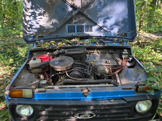 1985 Lada (ВАЗ) 2121 (4x4) I, синий, 100000 рублей, вид 3