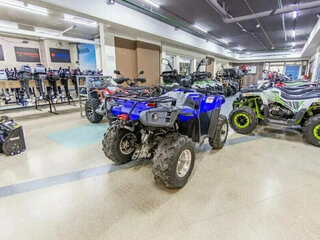 2026 Linhai D300, синий, 411300 рублей, вид 5