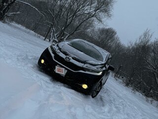 2016 Honda Shuttle II, чёрный, 1450000 рублей, вид 5