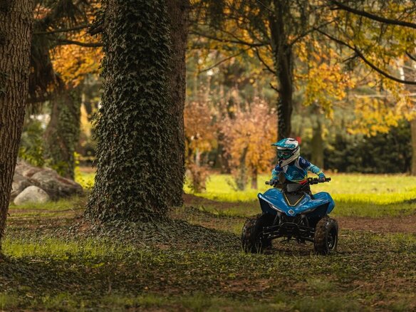 2026 CFMoto CFORCE 110, синий, 299900 рублей - вид 15