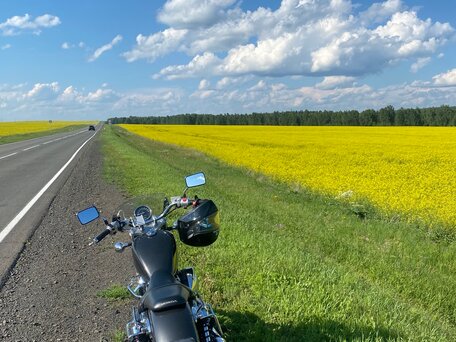 2010 Honda VT 750, серый, 570000 рублей, вид 5