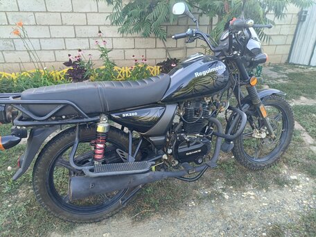2019 Regulmoto SK200, чёрный, 90000 рублей, вид 2