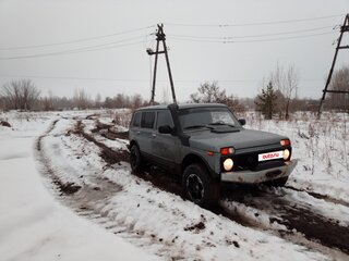 2013 Lada (ВАЗ) 2131 (4x4) 213105 I, серый, 300000 рублей, вид 2