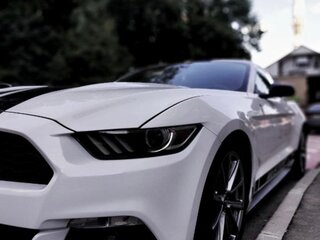 2015 Ford Mustang VI, белый, 2500000 рублей, вид 2