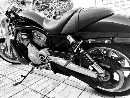 2006 Harley-Davidson V-Rod, чёрный, 700000 рублей, вид 2