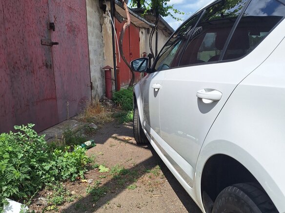 2014 Skoda Octavia III (A7), белый, 1230000 рублей - вид 5