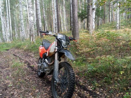 2025 Sycmmc 300, оранжевый, 70000 рублей, вид 4