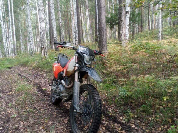 2025 Sycmmc 300, оранжевый, 70000 рублей - вид 3