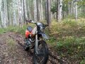 2025 Sycmmc 300, оранжевый, 70000 рублей - вид 3