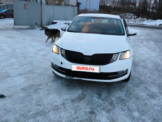 2019 Skoda Octavia III (A7) Рестайлинг, белый, 800000 рублей, вид 2