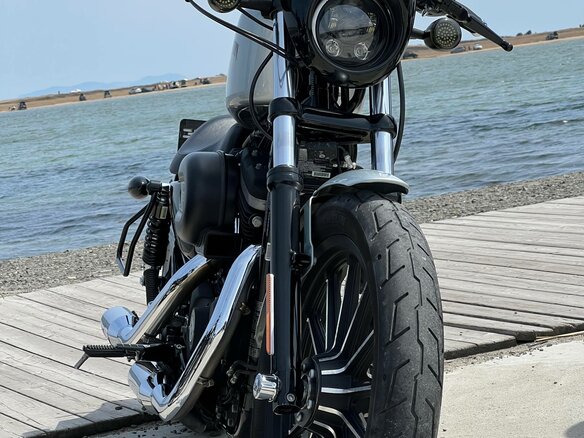 2015 Harley-Davidson Sportster 883, серебристый, 720000 рублей - вид 13