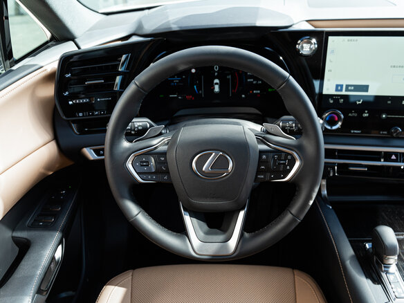 2025 Lexus RX 300 V, серый, 8490000 рублей - вид 11