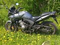 2008 Honda CBF 600, серебристый, 449990 рублей - вид 5