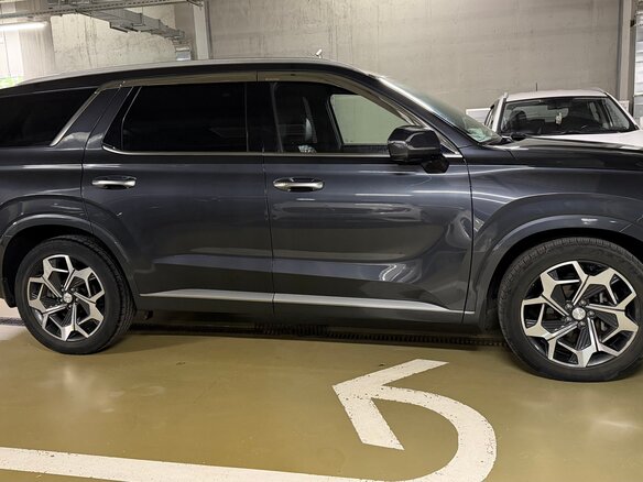 2020 Hyundai Palisade I, серый, 3840000 рублей - вид 32