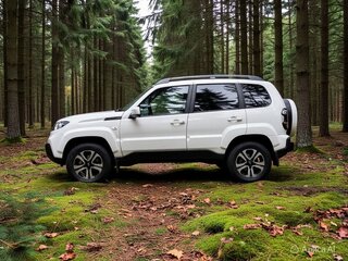 2024 Lada (ВАЗ) Niva Travel I, белый, 1300000 рублей, вид 3