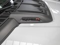 2025 Ford F-150 Raptor XIV Рестайлинг, серый - вид 4
