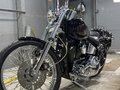1998 Harley-Davidson Softail Custom, чёрный, 2000000 рублей