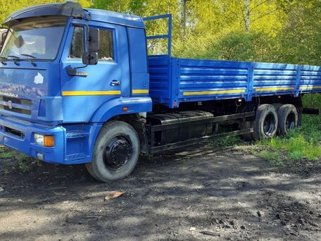 2013 КамАЗ 65117, синий, 3000000 рублей, вид 2