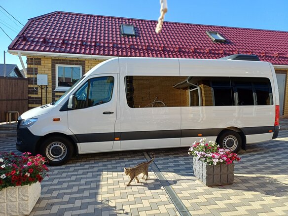 2019 Mercedes-Benz Sprinter, белый, 5200000 рублей - вид 6