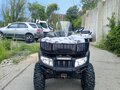 2006 Arctic Cat 650 Series, чёрный, 550000 рублей