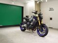 2024 Yamaha MT-09 (FZ-09), серебристый - вид 2
