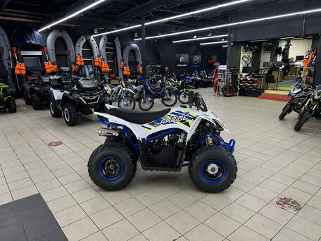 2026 Mikilon Rapide 110, белый, 90200 рублей, вид 4