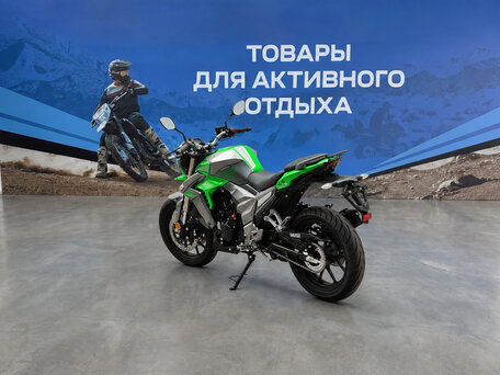 2026 Regulmoto T-Leopard 300, зелёный, 223700 рублей, вид 3