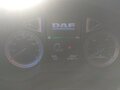 2020 DAF XF, белый, 11000000 рублей - вид 4