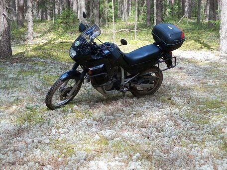 1996 Honda XL600V Transalp, чёрный, 310000 рублей, вид 5