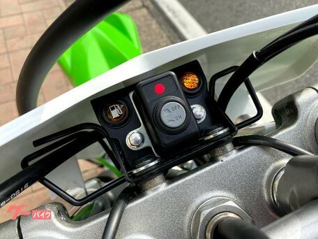 2020 Kawasaki KLX 230, зелёный, 500000 рублей, вид 5