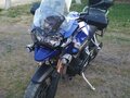 2012 Triumph Tiger Explorer, синий - вид 11
