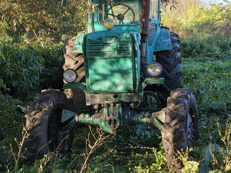1998 ЛТЗ Т-40АМ, зелёный, 150000 рублей, вид 2