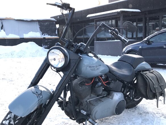 2007 Harley-Davidson Fat Boy, серый - вид 2