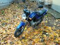 2009 Yamaha YBR125, синий