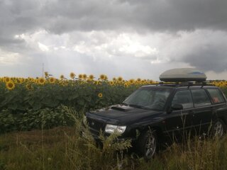 1999 Subaru Forester I, чёрный, 500000 рублей, вид 2