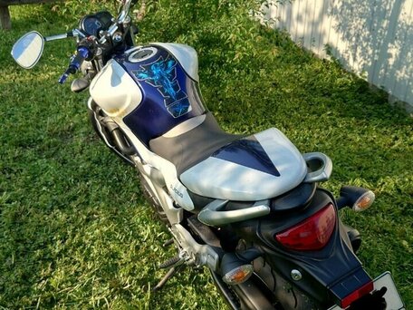 2010 Suzuki SFV 400 Gladius, белый, 420000 рублей, вид 5
