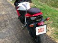 2009 Honda CBR 600RR, красный, 650000 рублей - вид 3