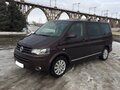 2013 Volkswagen Multivan T5 Рестайлинг, коричневый - вид 1