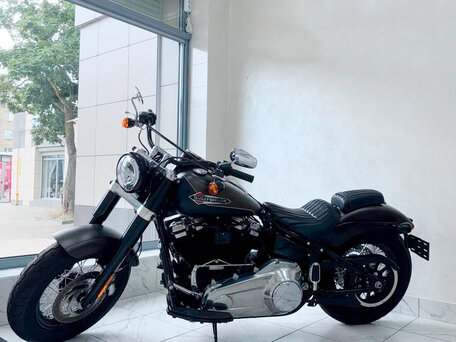 2021 Harley-Davidson Softail Slim, коричневый, 1680124 рублей, вид 1