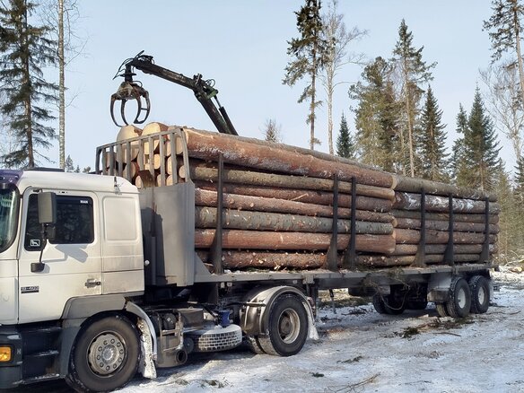 1998 MAN F 2000, белый, 1200000 рублей - вид 10
