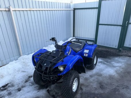 2008 Yamaha Grizzly 125, синий, 200000 рублей, вид 1