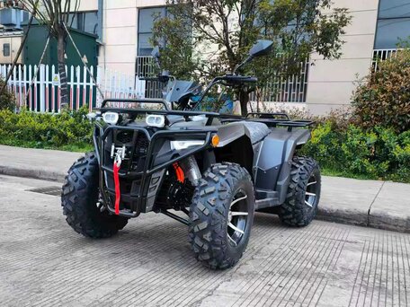 2026 Другие ATV (другие), чёрный, 399000 рублей, вид 1