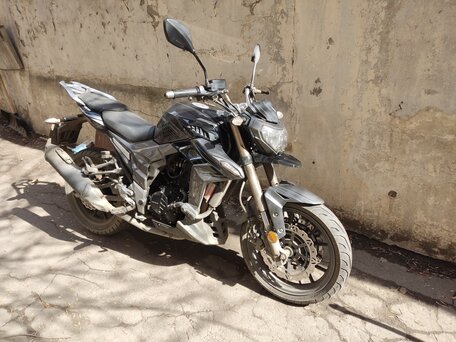 2023 Regulmoto T-Leopard 300, серый, 200000 рублей, вид 2