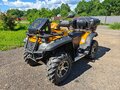 2014 CFMoto CF600-X6, жёлтый, 545000 рублей - вид 8