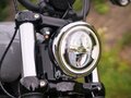 2025 Harley-Davidson Street Bob, серый, 1699000 рублей - вид 11